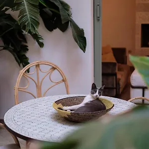 ** Riad Danka Morocco
